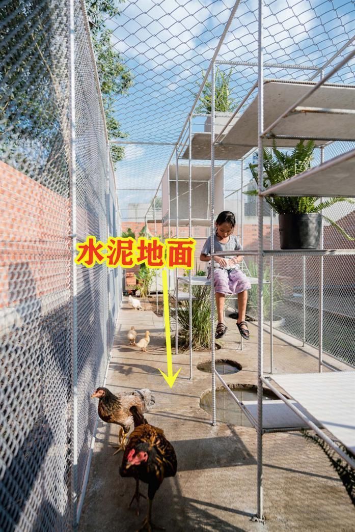 钢网|如果你家有个院子，也要搭个钢网房，在里面养鸡养花，生活好自在