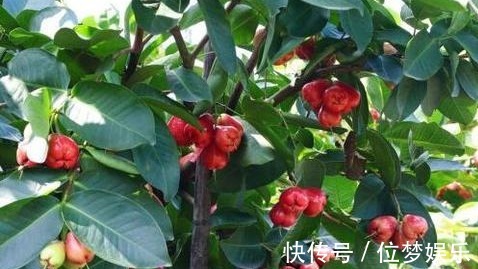 肝明目|人到中年,坚持常吃3种食物,排毒消脂,肌肤水嫩又细腻