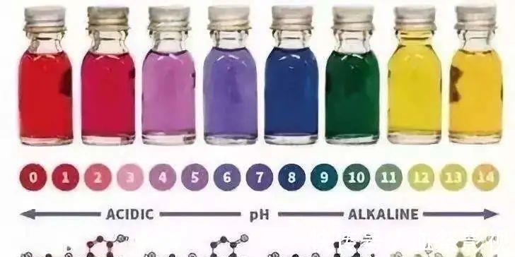 大米熬成蓝色引丈夫吐槽,蓝色的大米粥有没有毒?真相揭晓