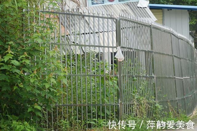 楼房|山村大叔不让女儿到路边玩，把楼房做成“围笼”，看啥样子