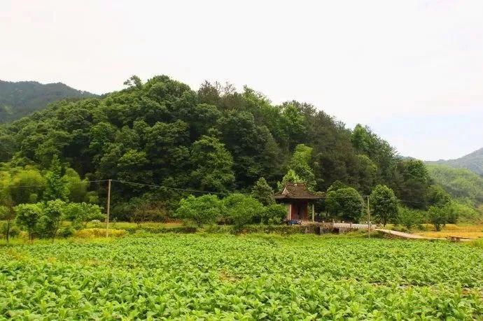 中正坊|亭台楼阁好乘凉，古人把绩溪设计成了“诗画”！