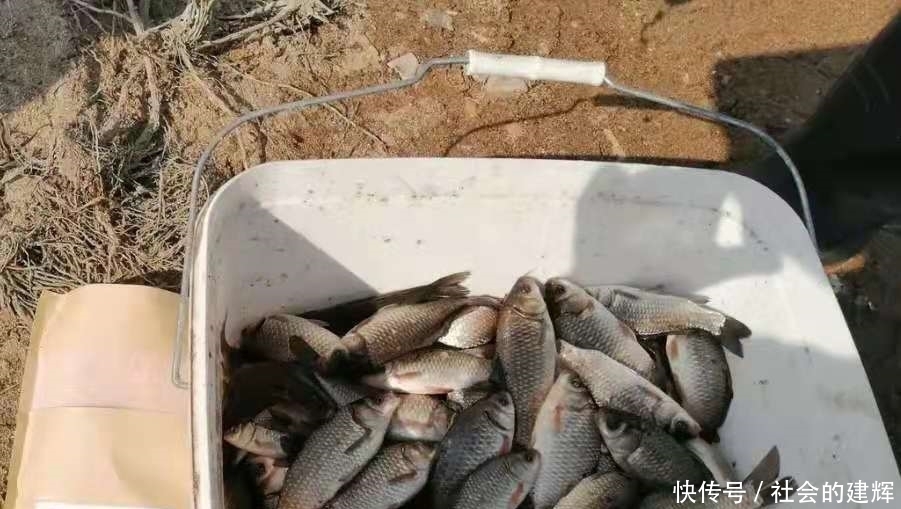 用法|实话告诉你,自从发现这饵料用法,夏钓再难也照样爆护,莫忽视