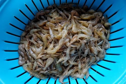 南方菜吃出东北味?成本10块就能让你吃到港式名菜