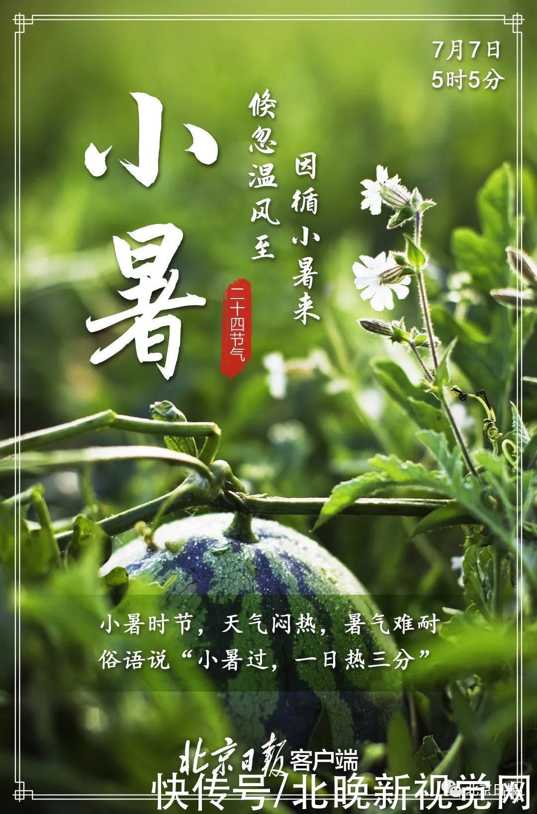 温风|小暑至，盛夏始！今起三天，北京热热热