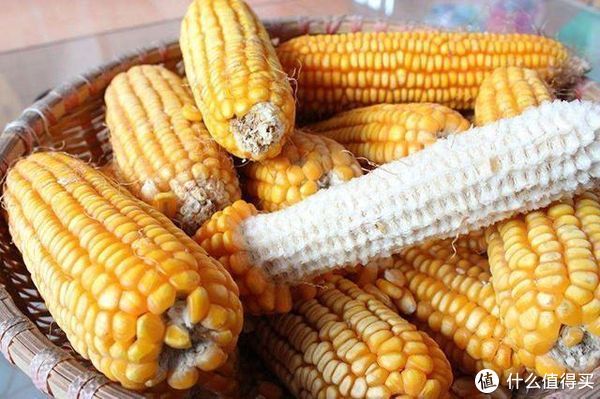 鲤鱼|这东西常用做窝料,主钓鲤鱼和草鱼,做1斤成本2元,你身边就有