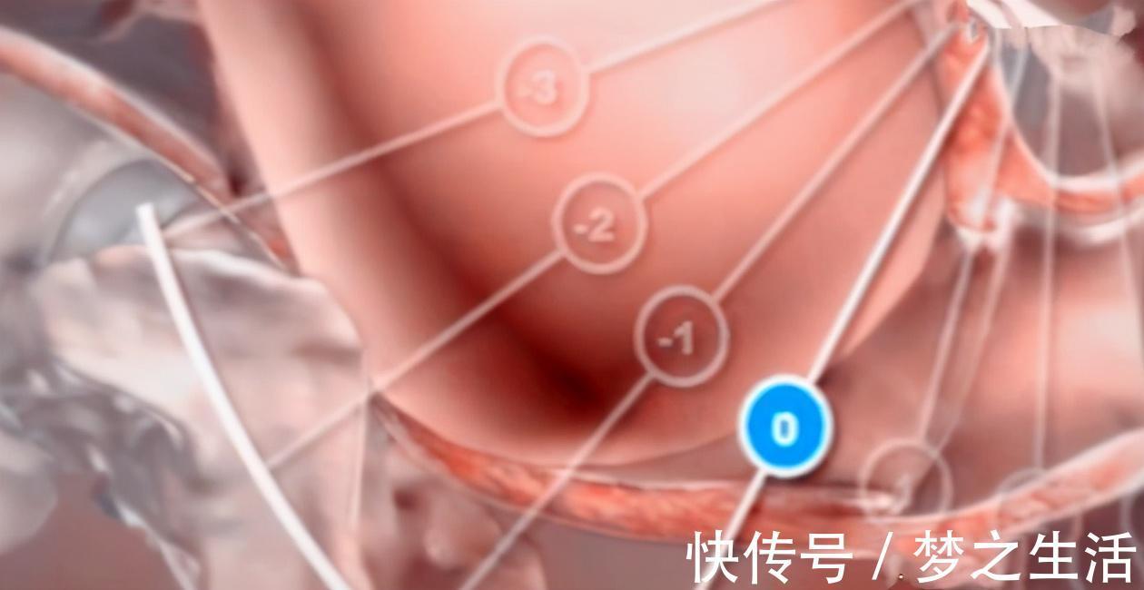 疼痛|为什么顺产会很痛4张图讲解原因,妈妈没有容易的