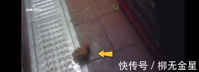 炸鸡|#华莱士致歉#!