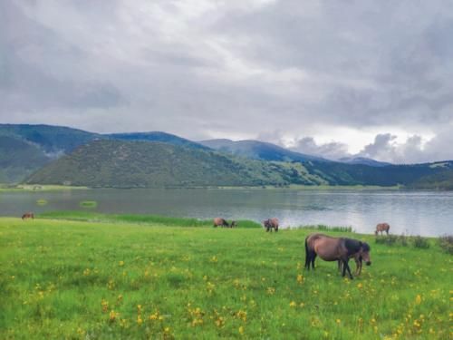 桂林山水|中国最美的12处风景，退休后必去6个以上，你去过几个？