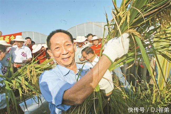 底线|娱乐有底线，《快本》自发停播致敬“袁老”，心存感激节目就该火