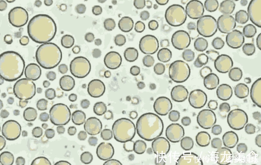 卵巢癌|当母乳被放大1000倍后,在显微镜下轻轻蠕动,纯净得令人难以置信