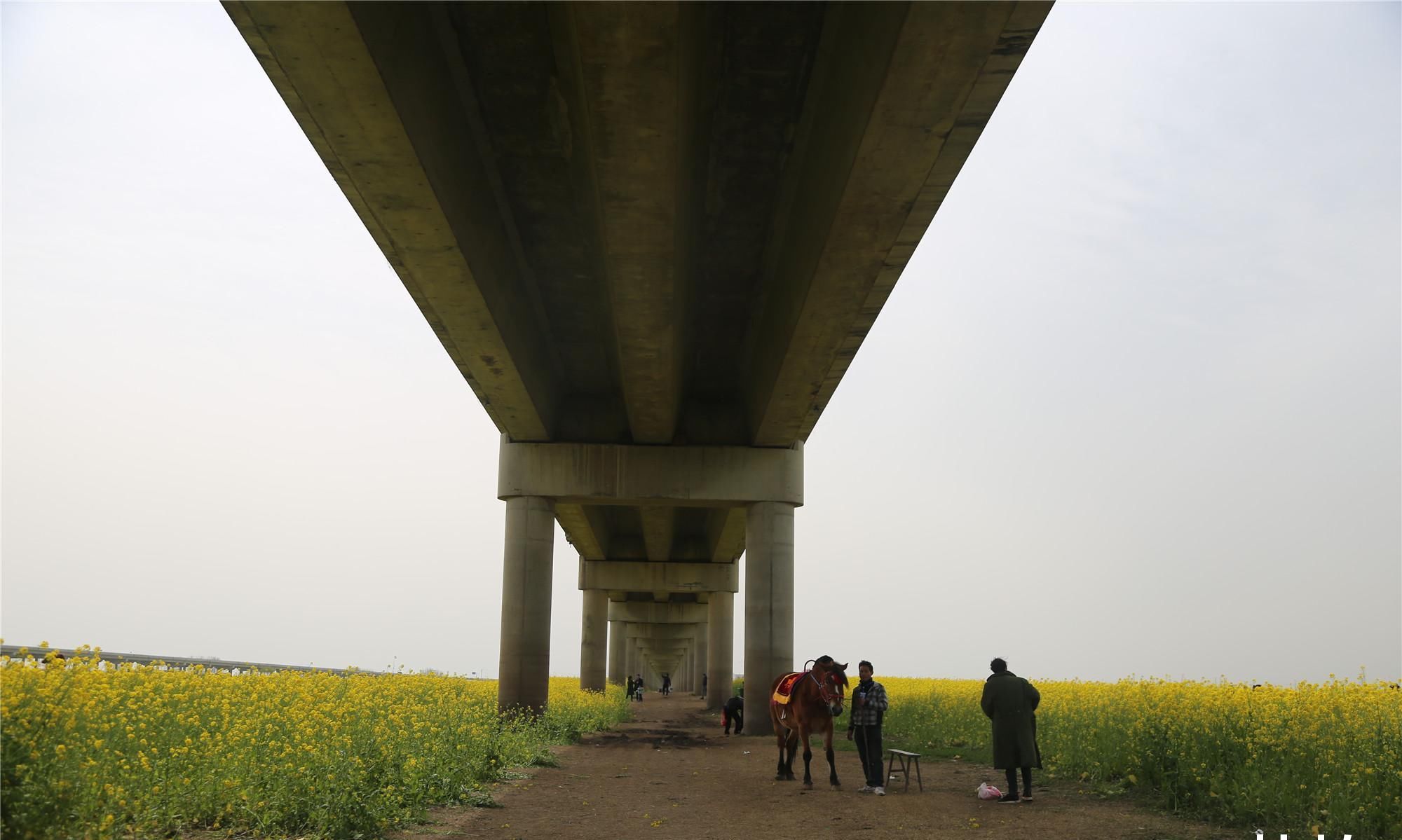 婚庆店老板苦叹淡季没生意,走出家发现商机笑称比旺季挣钱多