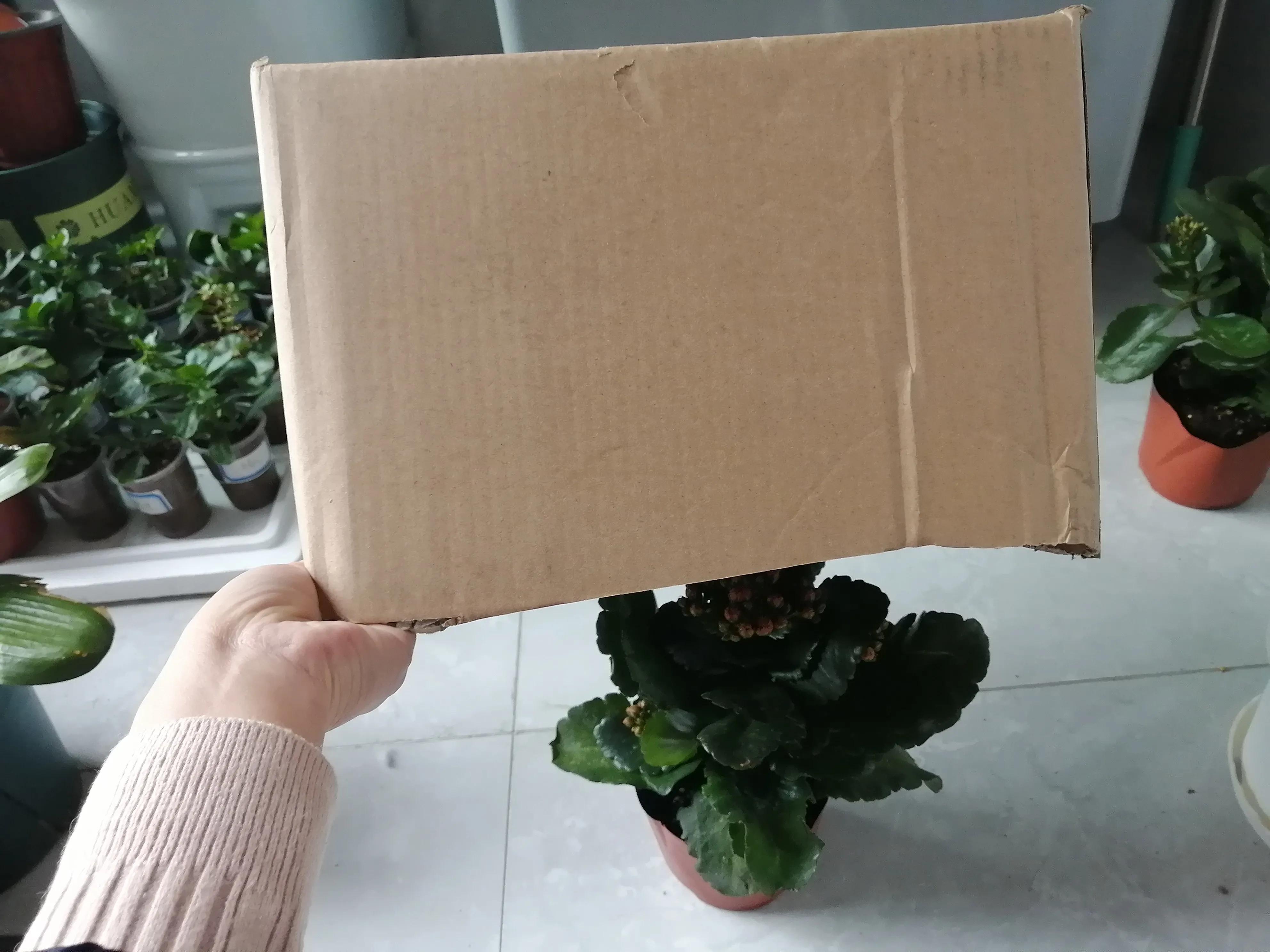 花友们|长寿花“装菜”不打花苞注意这“三点”，花苞呼呼冒花儿满枝头