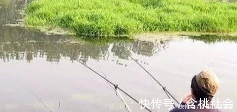 水草处|秋钓草边“三钓”、“三不钓”，用好了总有一次要爆护