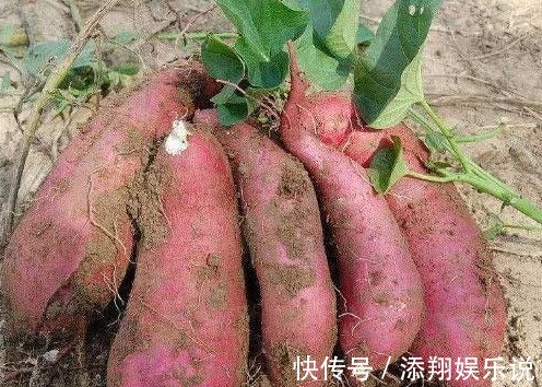 亚硝酸盐|为何癌症患者越来越多,医生告诫5种食物最好少吃,为健康忌口