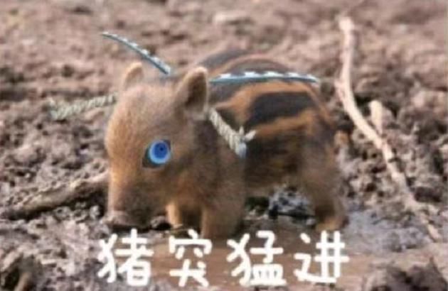 祢豆子|鬼灭表情包:炭治郎“水调歌头”,看完无法直视祢豆子,给无惨晒晒太阳