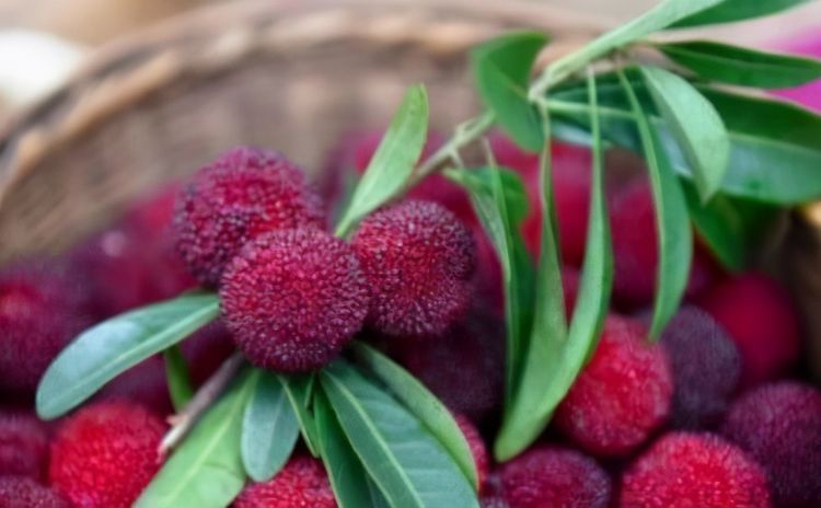 排毒|女性过了30岁,常吃3种食物,排毒养颜,清理肠胃垃圾