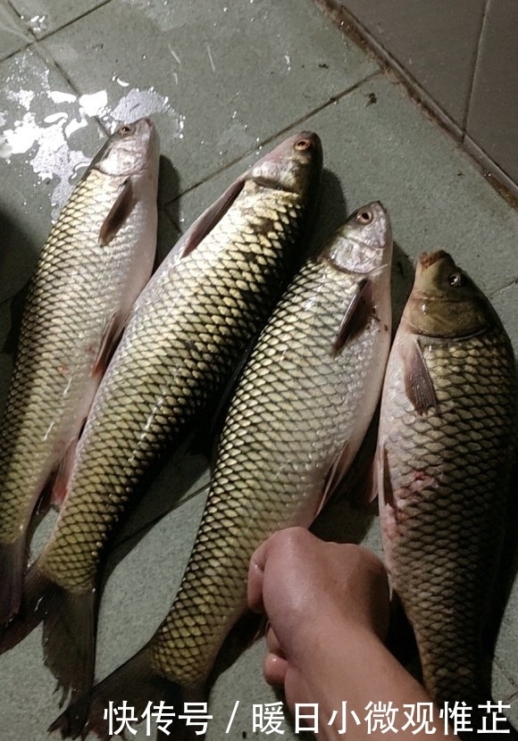 垂钓|壮观!广西一河道数百名钓鱼人挤坐一起,垂钓盛行是消费降级?