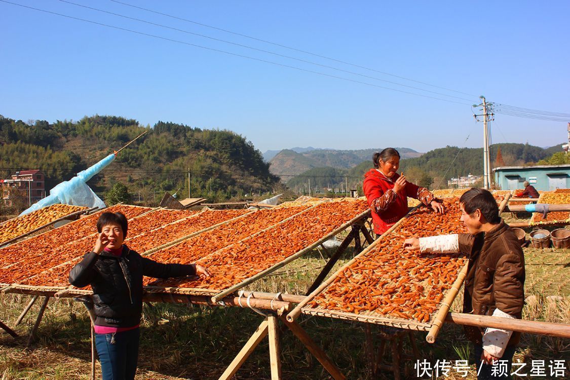 番薯的花样吃法,舌尖上的美食,只问吃过几种