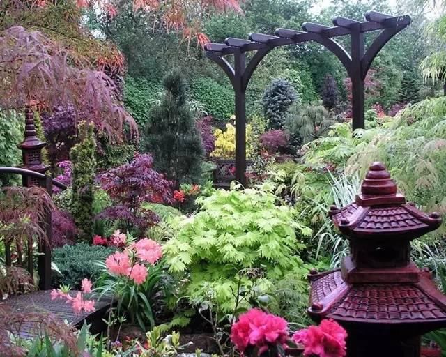  绝美|7旬夫妻用27年建绝美花园，全球花友慕名来“探花”