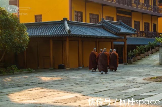 比丘尼|杭州大雄山东麓竹林里藏着一座讲寺，每天都能听到比丘尼的颂经声