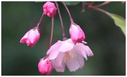 要求|你的内心恐惧越多，你对孩子的要求也便越多