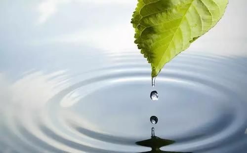 假如地球所有海水全部变成淡水，会发生什么奇异变化？