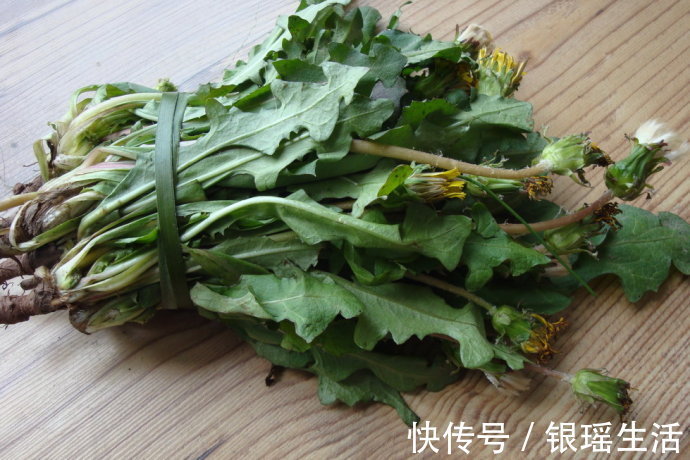 肝火|枸杞三斤抵不过此物一钱,经常泡水喝,不仅肝火平了,还能补脾虚