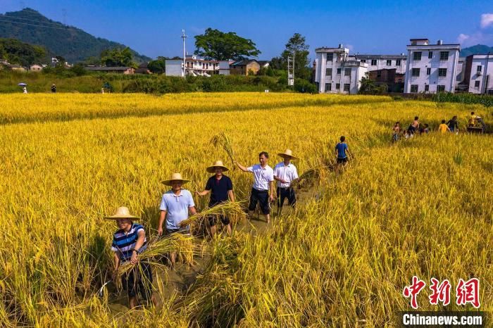 广东|国庆假期广东乡村游备受游客欢迎