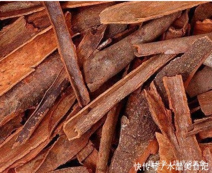 调料|做卤肉时,没必要放那么多调料,只要加入“这4味”料就可以!