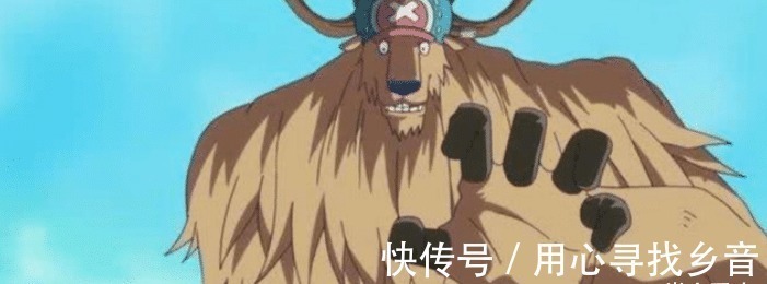 蛋蛋|海贼王中唯一一颗无限进化的果实,你以为是乔巴,其实是他