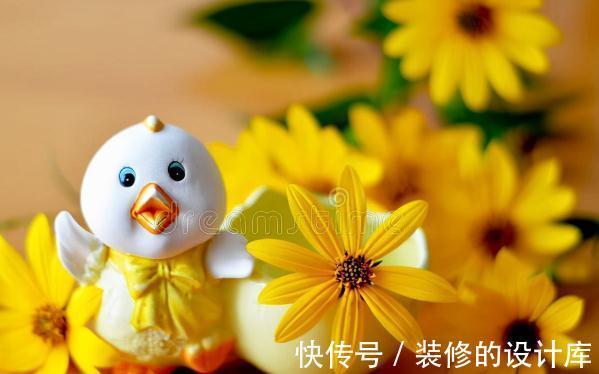 和节日很搭的8种花，花期都超长，养在室内也能美200天