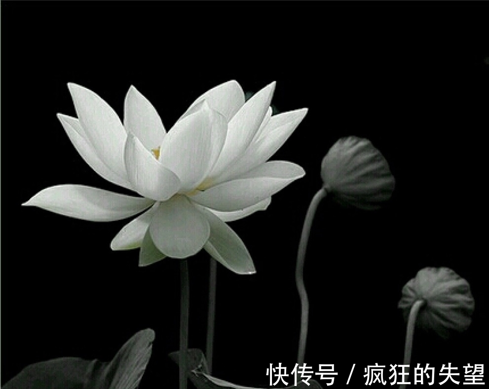 空性@对于鬼神，你信还是不信？《心经》中给出这样的解释