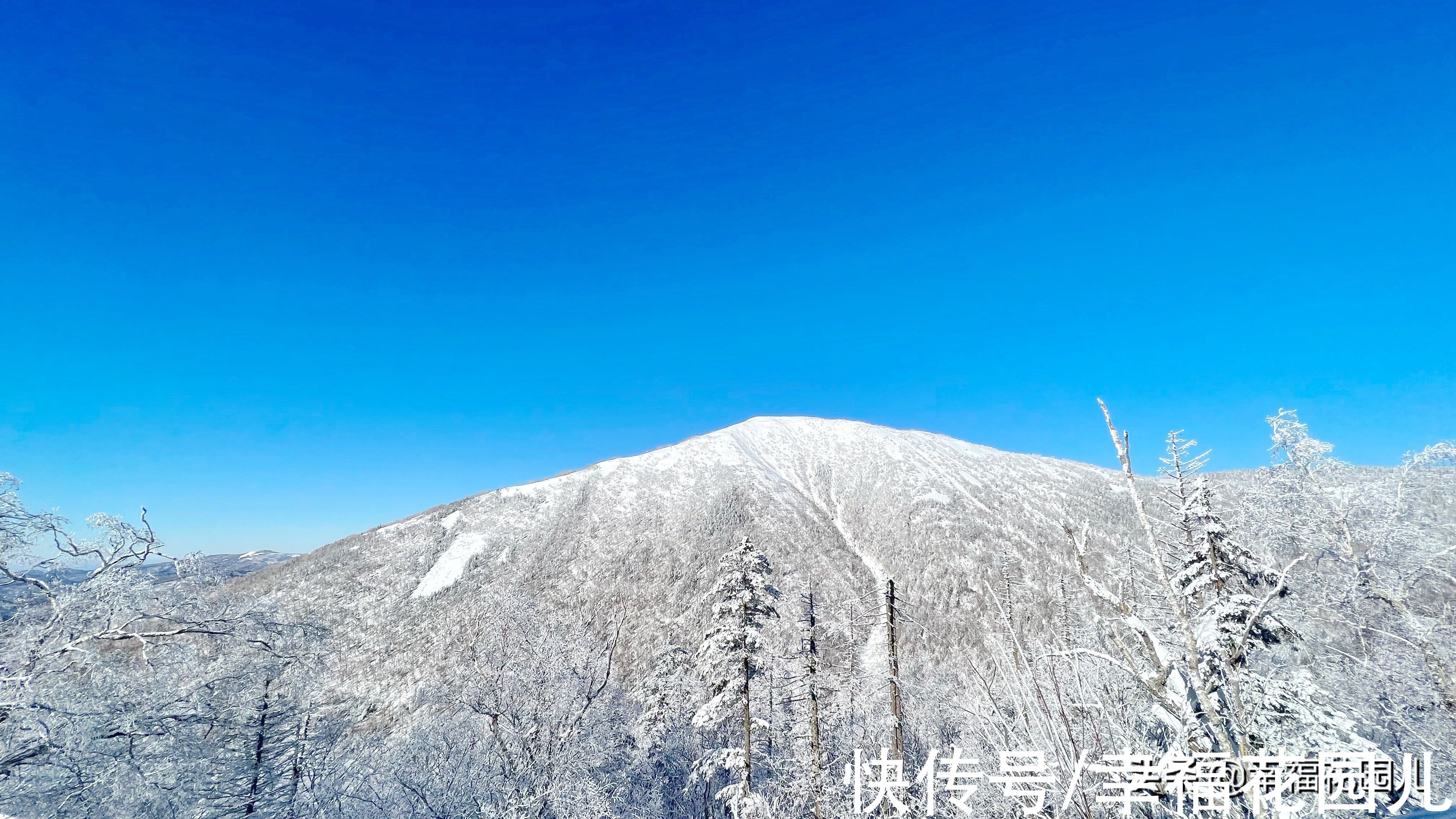 老桥|赏冰、玩雪、看美景，找回儿时过年的味道，就在非常冰雪黑龙江