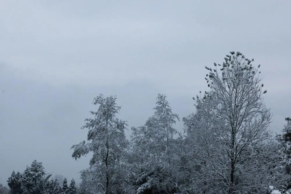 秘密|这个秘密只告诉你，刷爆朋友圈的广元雪景，都在这里了！