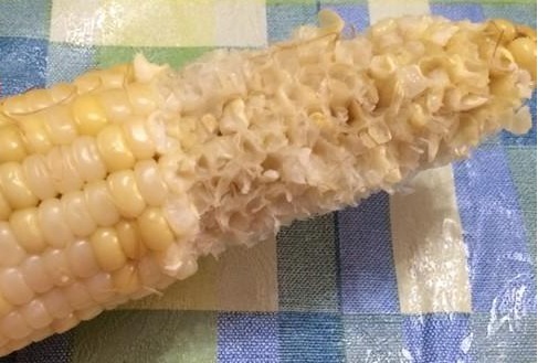 肾炎|除了玉米粒外,藏在玉米身上的这3大宝贝,好处你未必都知道