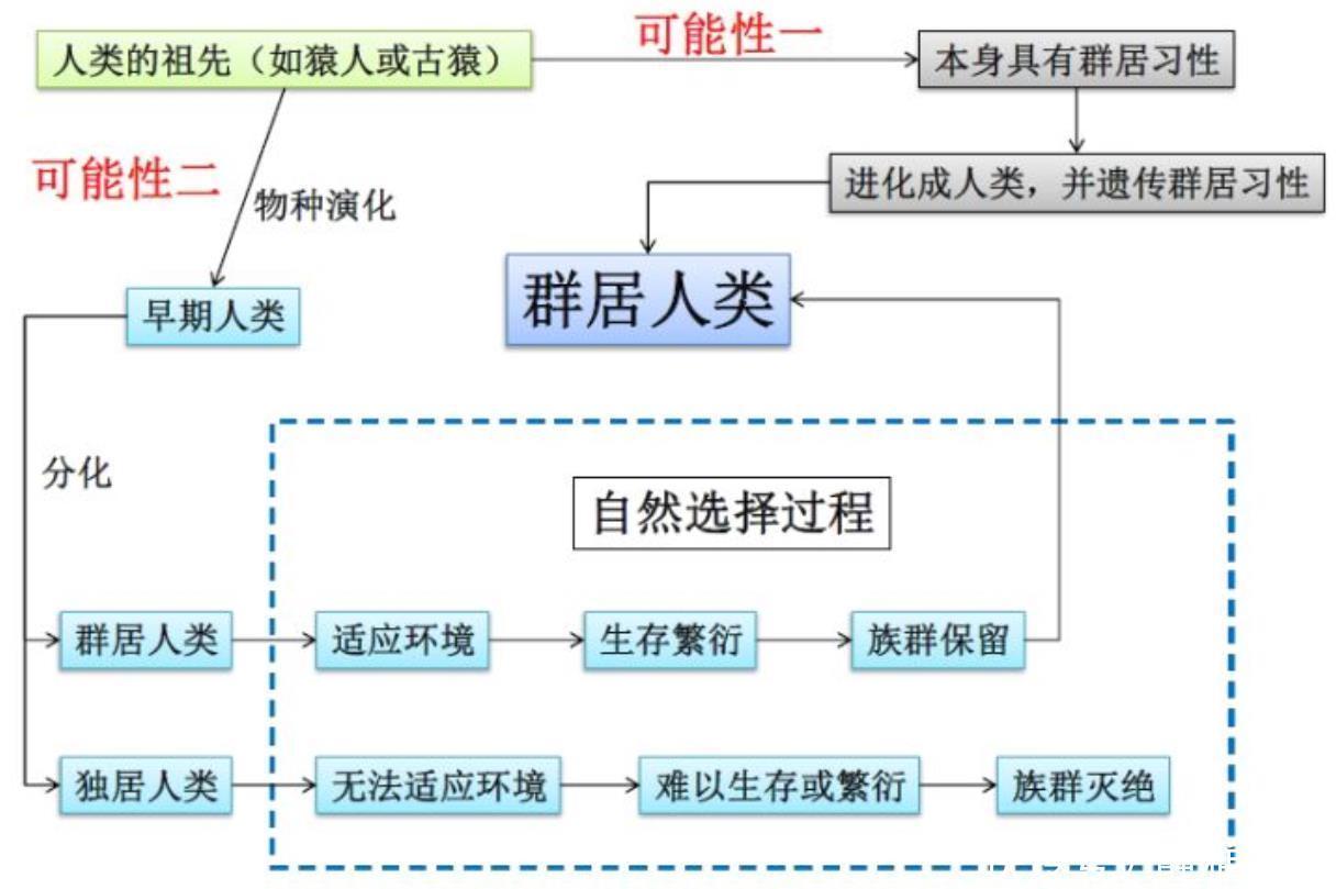 人类的基本需求有哪些