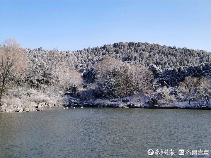 跑马岭|济南南山跑马岭迎来今冬第二场降雪！齐鲁雪乡美似童话