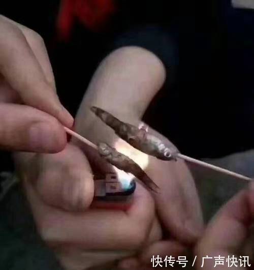 |搞笑图片幽默段子笑话哈哈，你们两个很有情调啊，烤小鱼吃么