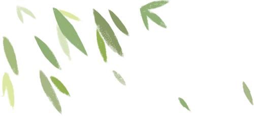 寒湿缠身，如何养生？赶紧用上2个方！|保胃健康 | qt:colorful,mass_porn,art_src_1,fts2,nbbdpp_-10000,nbbscoreee_-10000,nbbstratest_1