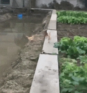 |搞笑GIF:看了这个才知道天底下都是一样的女人