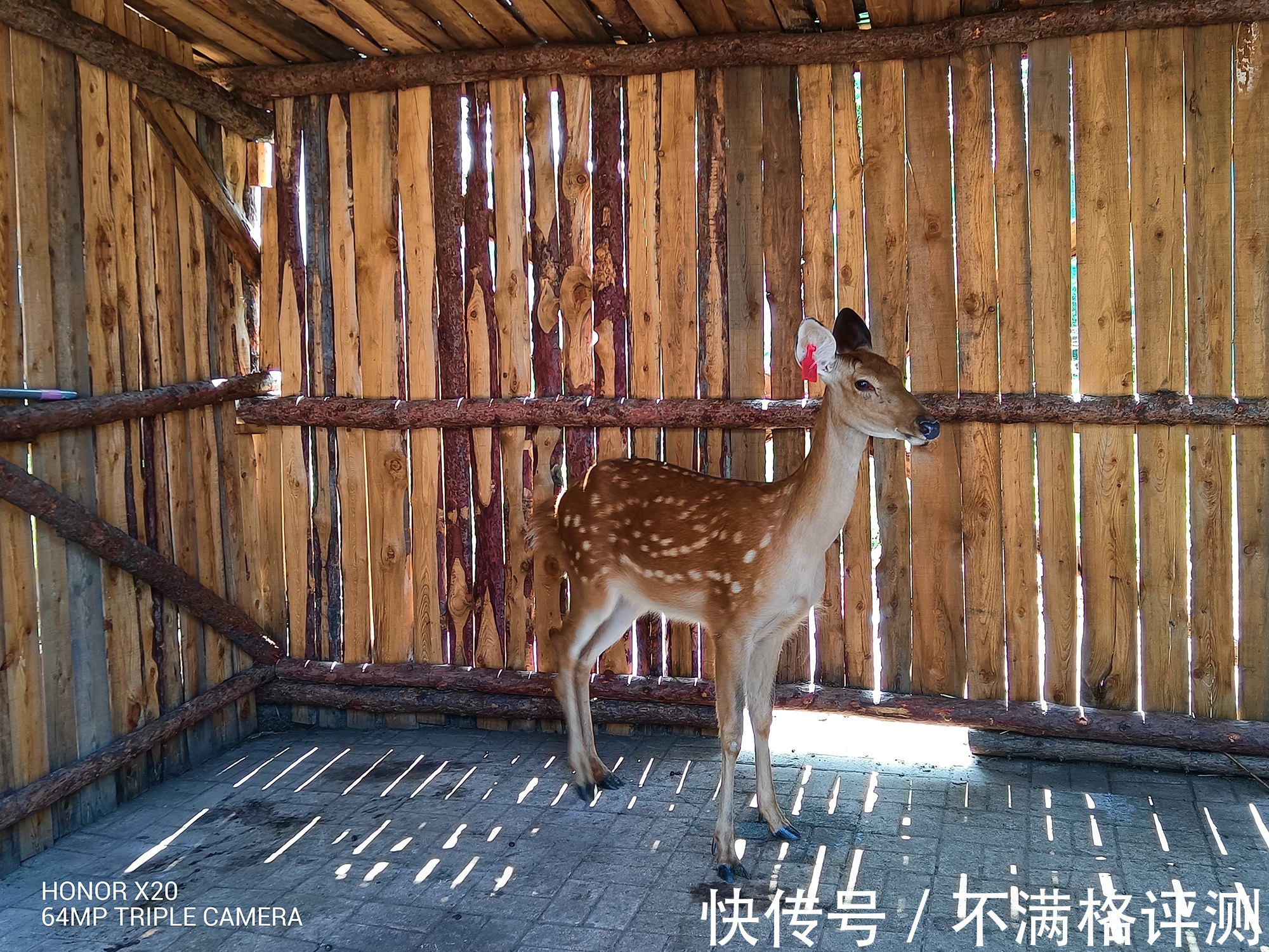 运存|中端机不再吹性能了？国产“全是屏”手机回归，荣耀X20评测