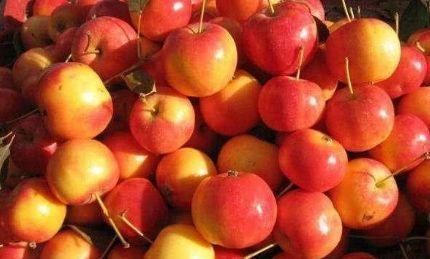 圣女果|女性不想老太快,学会吃3种食物,排毒消脂,延缓衰老,呵护肌肤