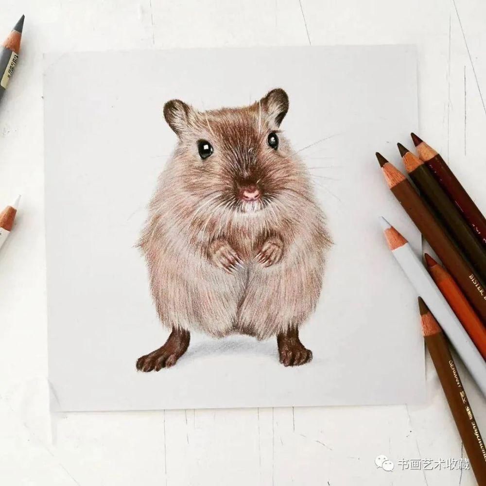  美女|一匹马画了16年！美女学渣逆袭成功，坚持下来很酷！