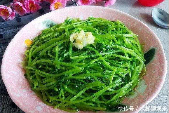  市场|田地里很常见，北方人爱吃的野菜，根系庞大，殊不知市场一斤20元