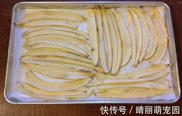 香蕉皮养花，用法可真多，泡水、混土、晒干当肥，还能擦叶子