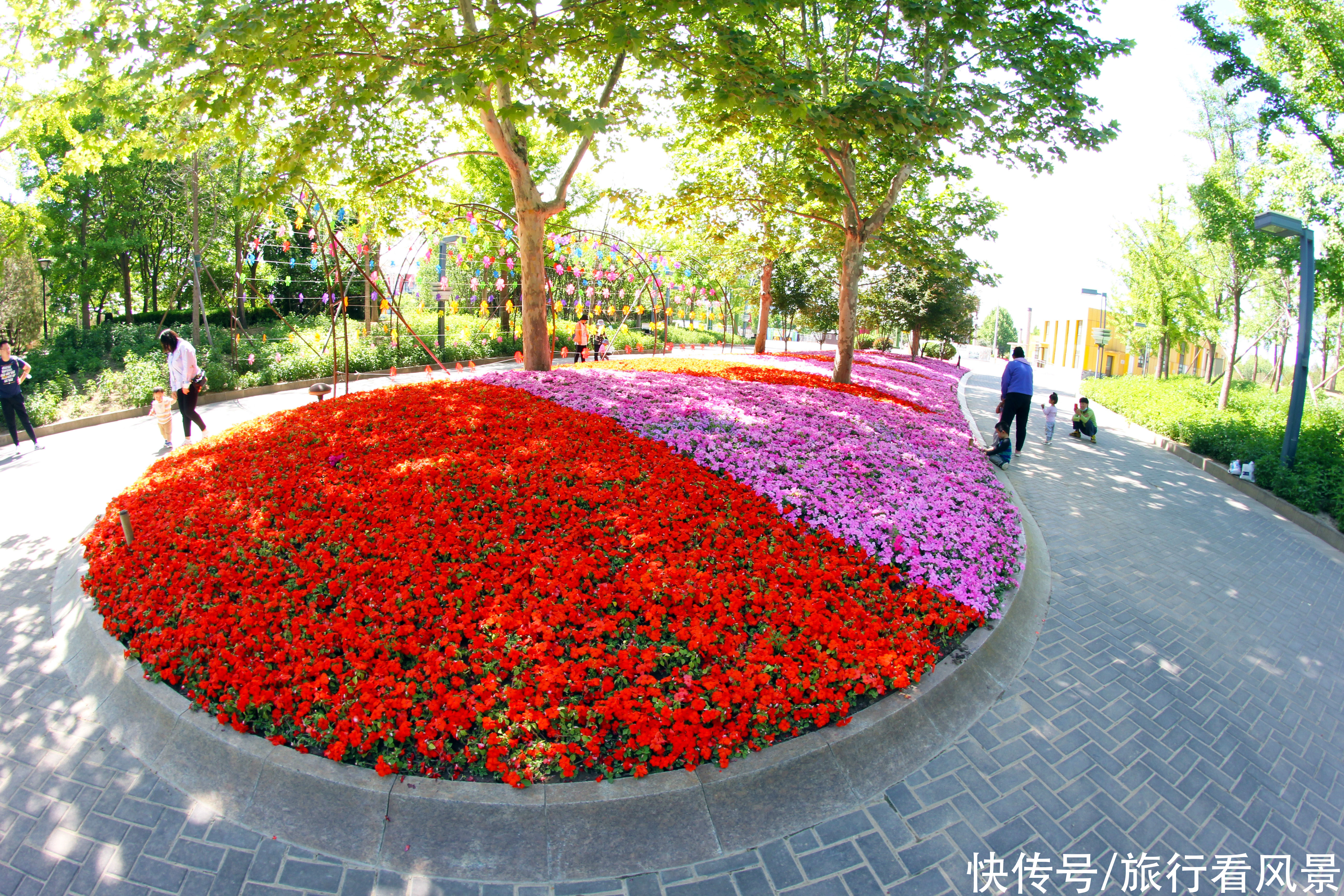 主题公园|北京又一个小众公园火了，有花有水有彩色风车，门票停车双双免费