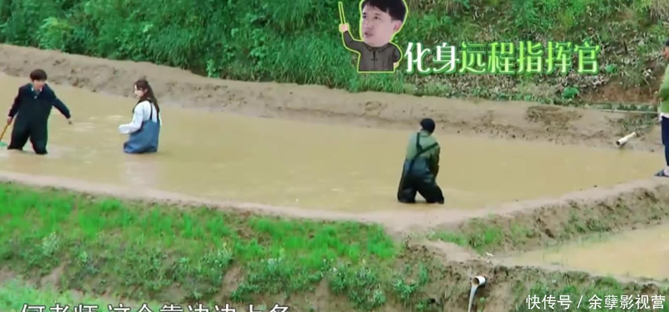 台词|黄磊、何炅《向往的生活2》不停笑场,几句台词曝光真相,网友骂声一片!