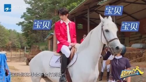 《奔跑吧》8月正式收官,陈立农蔡徐坤将再次同台,NPC成最大遗憾