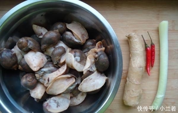 嫌弃|这种海鲜常被人嫌弃,一斤仅要3块钱没人买,却要比海参营养美味