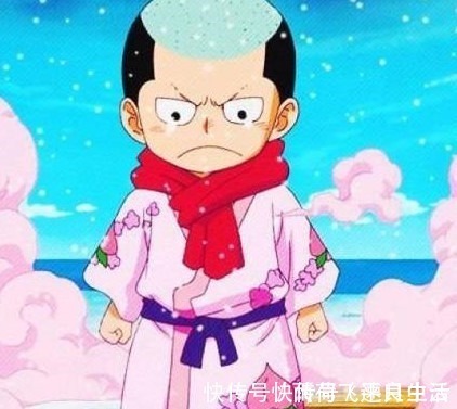 -5|海贼王人物志网友桃之助必须死。尾田笔给你，你来画